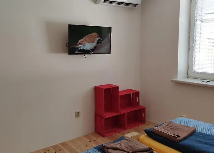 Spacir Gospodarstwo wiejskie Velké Pavlovice