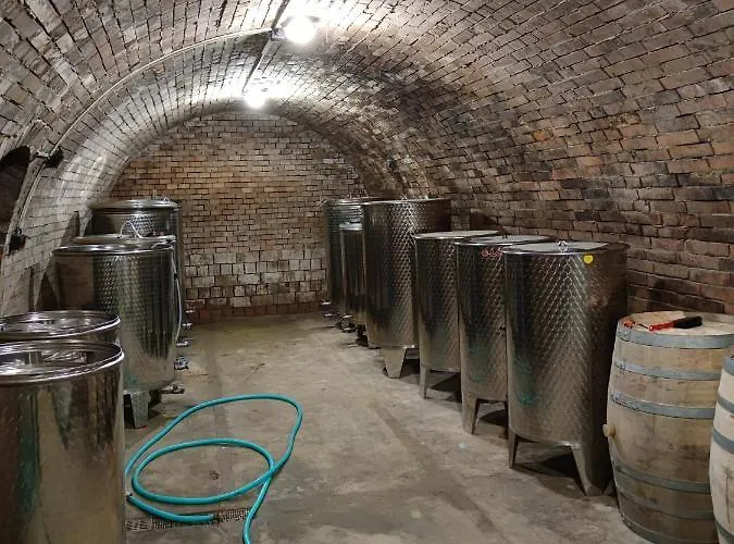 Country house Spacir