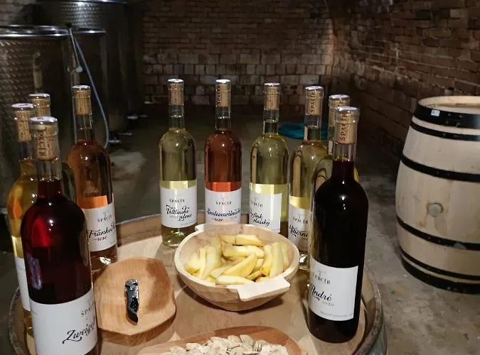 Country house Spacir